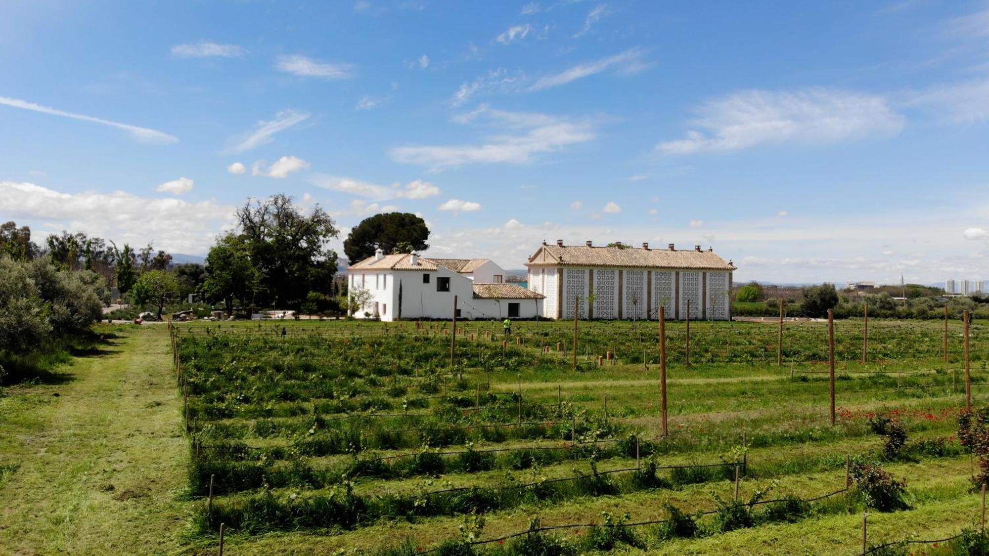 Cortijo De La Seda Guest House - Granada — Photos 3